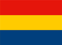 Bandera PY 1811